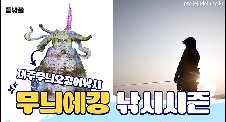 제주무늬오징어낚시시즌