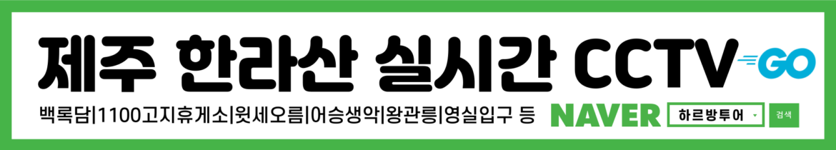 제주한라산실시간CCTV